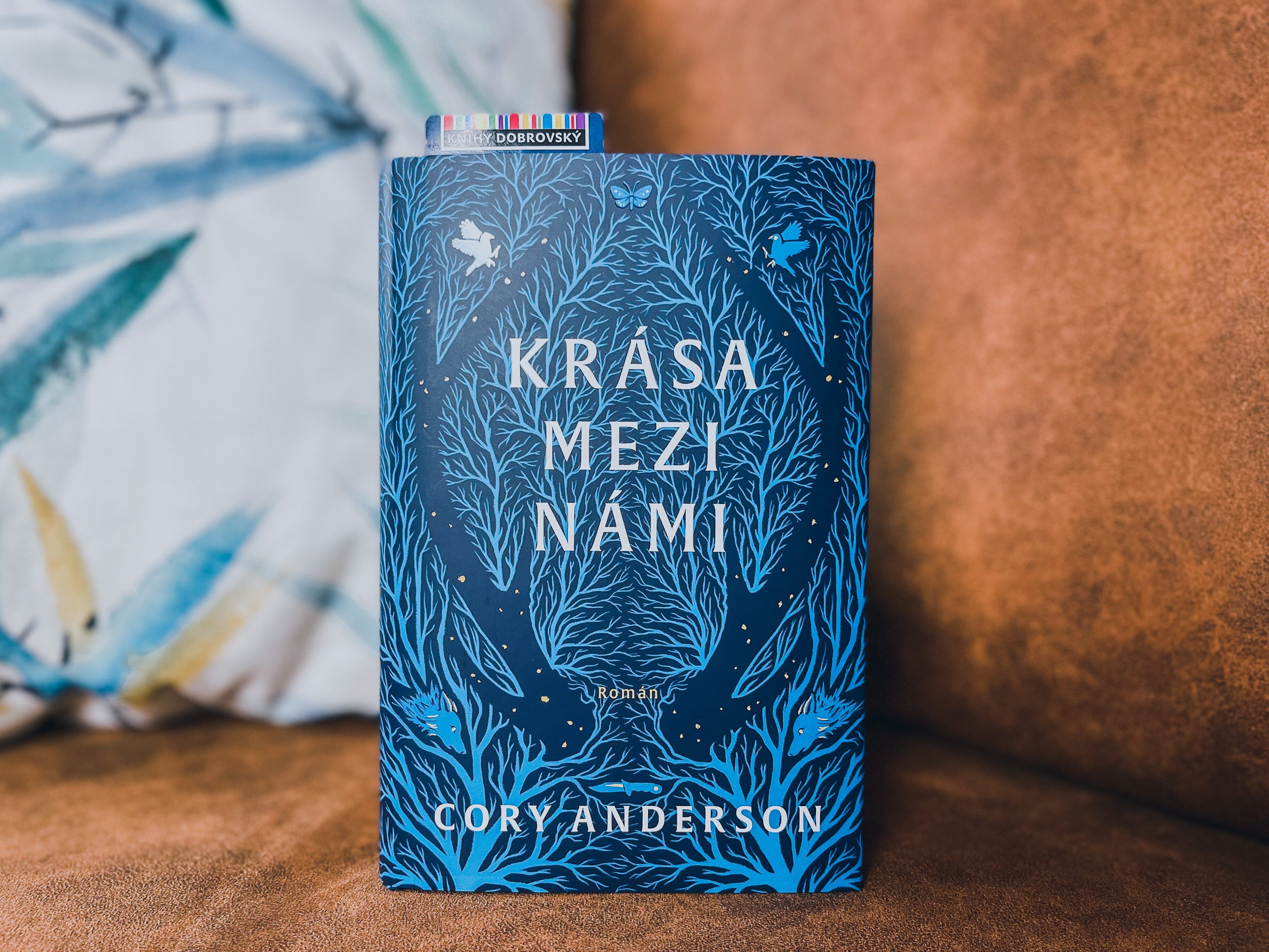 Krása mezi námi-recenze