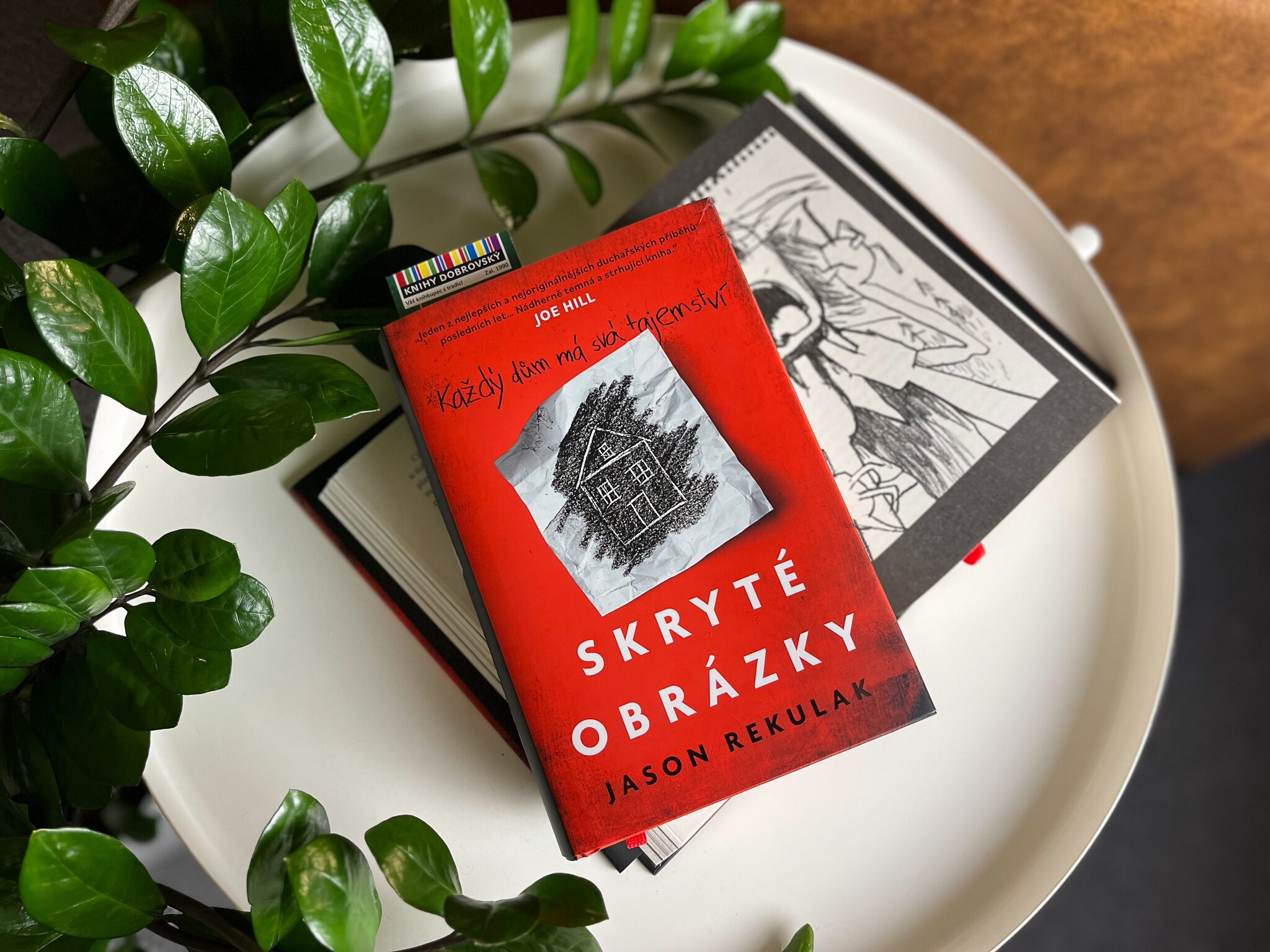 Skryté obrázky-recenze