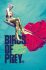 Plakát Birds Of Prey - Broken Heart - 