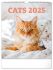 Kalendář 2025 nástěnný: Kočky, 30 × 34 cm - 