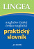 Praktický anglický slovník k maturitě - 